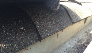 Closer inspection by Archer Roofing proves that the shingles are in good condition 