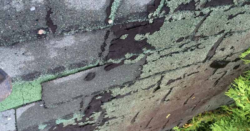 Roof Stains & How To Fix